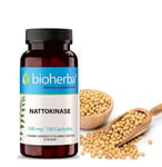 NATTOKINASE +B1, Food supplement