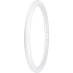 Ledvance LED rør T9 Value cirkulær G10Q 2900lm 24W/840 230V+EM