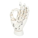 White Phrenology Palmistry Porcelain Hand Palm Reading Temerity Ornament