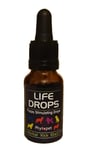 Phytopet Life Drops For Stimulating Puppies - Herbal Kick Start - 10ml