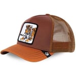 Casquette Goorin Bros  Casquette Homme WILDKITTY