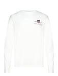 GANT Reg Medium Archive Shield Ls T Vit