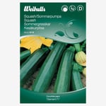 Squash, grön, Diamant F1