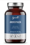 Panaseus - Andropause (50 Capsules)