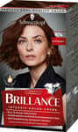 1 X Schwarzkopf Brillance Intensiv-Color-Creme Couleur 874 Brun Velours