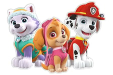 Kaksikerroksinen seinäkoriste Paw Patrol - Everest, Skye, Marshall