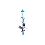 Ampoule H1 12V 55W xenon Blue