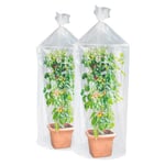 Avilia Lot de 2 serres tomates | taies d'oreiller Respirantes | Croissance optimale | 40 x 30 cm | Transparent