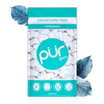 PUR Gum | Sugar Free Chewing Gum | Made with Xylitol | Vegan, Aspartame Free, Gluten Free & Keto Friendly | Natural Wintergreen Flavoured Gum, 55 Pieces (Pack of 1)