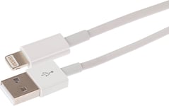 Câble Lightning Vers Usb-A De Qualité Supérieure, Blanc, 0,5 M, Charge Et Synchronisation, Pour Tous Les Iphones 14, 13, 12, 11, Se, Ipad Air/Mini (2019), Ipad (Jusqu'à 2021), Airpods (Étui