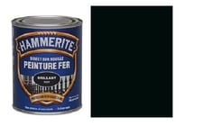 PEINTURE FER HAMMERITE ANTIROUILLE MARTELE NOIR direct sur rouille 0.25L