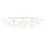 Heracleum III Linear - Copper