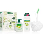 Palmolive Naturals Olive Box gift set for the shower