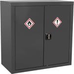 CoSHH Substance Cabinet - 900 x 460 x 900mm - Two Doors - 2-Point Key Lock