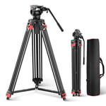 NEEWER Basic 74" Video Tripod with Fluid Head , Metal Camera Tripod with Smooth Friction Damping, Mid Level Spreader, Quick Release Plate Compatible with Manfrotto 501, Max Load 17.6lb, TP37