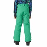 Helly Hansen Legendary Byxor