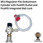 Regulator fits Sodastream Cylinder CO2 Pushfit Integrated Ball Lock EVA Gas Line