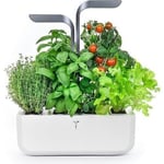 Véritable® CONNECT Indoor Garden , älykäs kukkaruukku