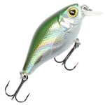 Mikado Fishunter Bold Head 4 cm vaappu Olive Bleak