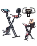 Vélo d'appartement multi-fitness XL avec masse d'inertie 2,5 kg : HT-535 - Pear