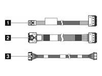 Lenovo - Lagerkabelsett - For M.2 Sata/X4 Chassis Nvme