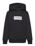 Napapijri Chamois Hoodie Svart