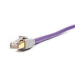 Melodika MDLAN30 - Nätverkskabel UTP Cat.6e - RJ45-RJ45 3 meter - Lila