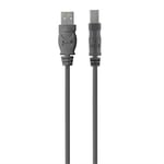 Belkin Premium Printer Cable - USB-kabel - USB-type B til USB - 1.8 m