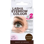 Depend Lash & Eyebrow Brunsvart Färg för ögonbryn och fransar 1 st