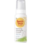 Baby Bee Foaming Shampoo And Wash 8.4 Oz By Burts Bees