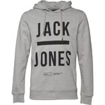 Jack & Jones Gary Hoody Light Grey Large TD092 WW 01