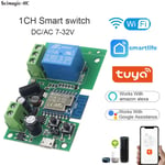 Tuya Wifi Smart Home Ouvre-porte de garage 12V 24V 220V Module d¿interrupteur autobloquant pour Alexa Google Home Smartlife APP - Type DC 7-32V #A