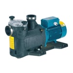 Pompe De Piscine Autoamorçante Calpeda Mpcm31 230v - 0.75kw - 14m3/h