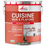 Peinture cuisine lessivable absorbe les odeurs Vert jonc RAL 6013 10 L