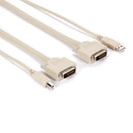 BLACK BOX DT-SERIES KVM CPU CABLE - DVI-D, USB, CABLE, 10-FT. (3.0-M) (EHN900025U-0010)