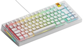 Glorious Gaming GMMK 3 HE: Clavier réactif, Effet Hall, taux de Polling 8K, switches MX et magnétiques (Hot Swap), Clavier 75%, Joints modulaires, Capuchons doubleshot PBT, Allemande QWERTZ - Blanc