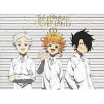 ABYSTYLE - The Promised Neverland Poster, Mug Shots, 52 x 38 cm