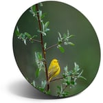 Awesome Fridge Magnet  - Little Yellow Bird Tree Rain Nature  #45583