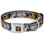 Buckle Down 9–38,1 cm Sdc-Scooby Doo Visage Complet Couleur Noir Collier de Chien