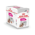 Royal Canin CCN Exigent märkäruoka vaativille aikuisille koirille, 12 x 85 grammaa