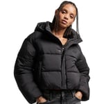 Doudounes Superdry  Doudoune courte femme  Cocoon