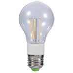 Jeffergarden Ampoule LED E27, 12V 3W/4W/6W Blanc Froid/Chaud COB E27 LED Ampoule Non-dimmable à Filament 360 Degrés pour Éclairage Architectural et