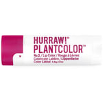 HURRAW! Plantcolor Lip Balm №2