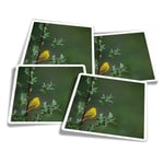 4x Square Stickers 10 cm - Little Yellow Bird Tree Rain Nature  #45583