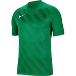 Nike BV6738-302 Y NK Dry CHALNG III JSY SS T-Shirt Unisex Kids Pine Green/Pine Green/White Size L