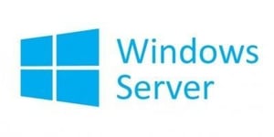 Microsoft Windows Server Cal 2022 Client Access License (Cal) 1 Licen