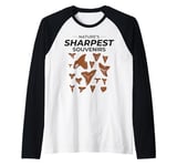 Shark Teeth Collector Fossil Hunting Paleontology Megalodon Raglan Baseball Tee