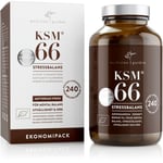 Medicine Garden KSM66 Ashwagandha Rot Kapslar 240 st