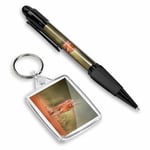 Pen & Keyring (Rectangle) - Caracal African Lynx Cat  #3170