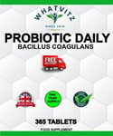 PROBIOTIC DAILY - BACILLUS COAGULANS 500 MILLION CFU 365 TABLETS